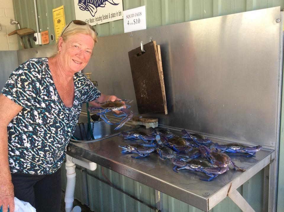 Ceduna Foreshore Caravan Park Ngoại thất bức ảnh
