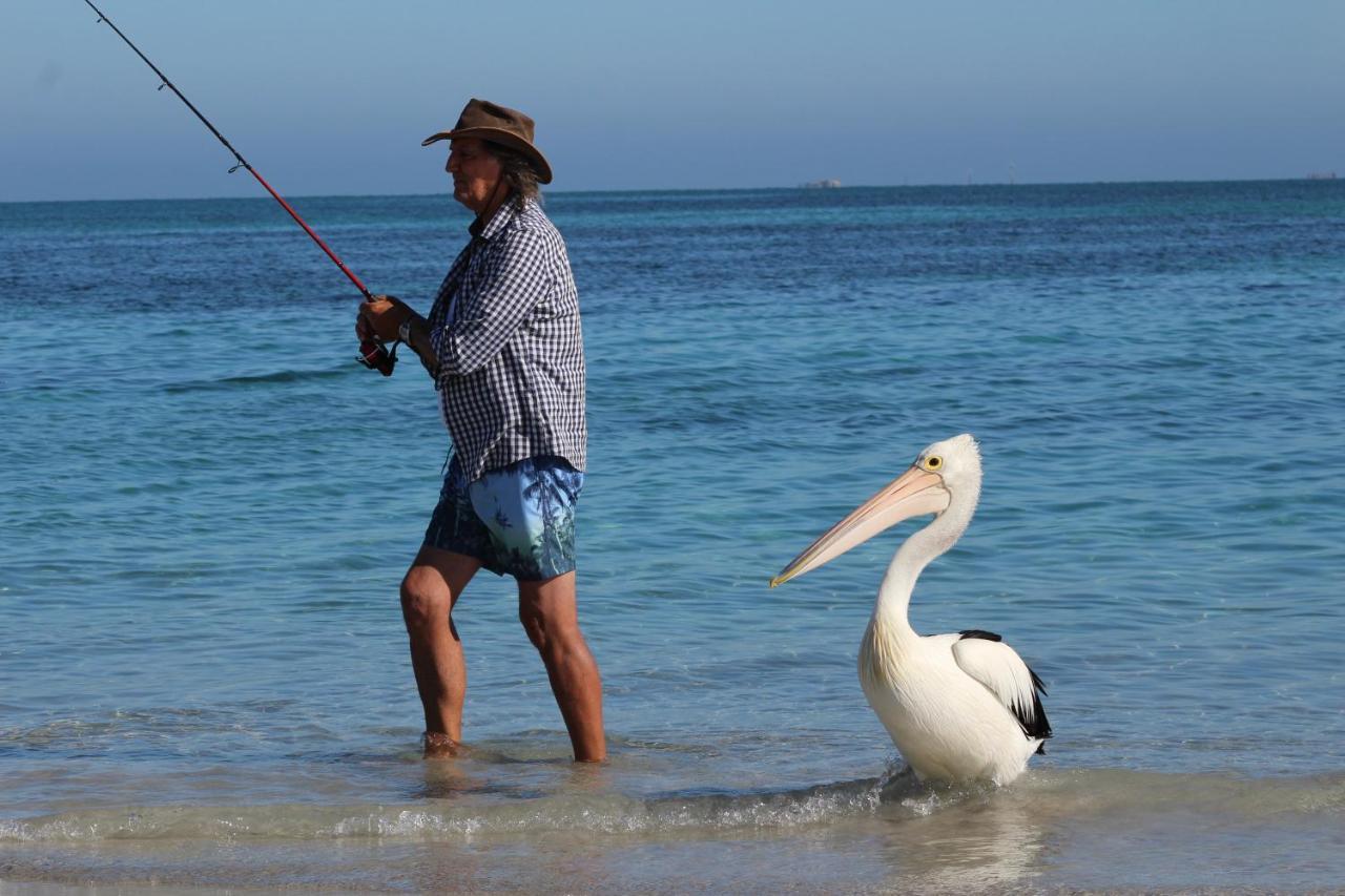 Ceduna Foreshore Caravan Park Ngoại thất bức ảnh